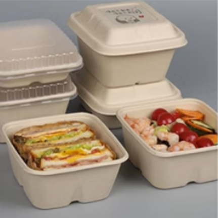 Disposable American Japanese Lunch Box 