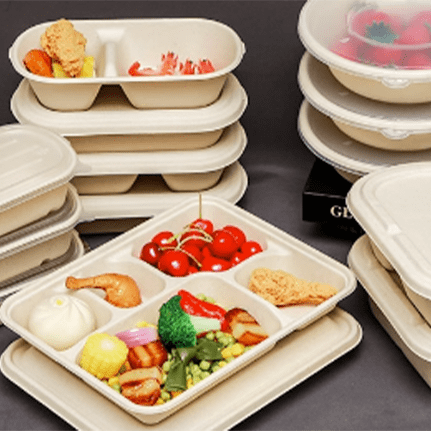 Disposable compartment fast food box
