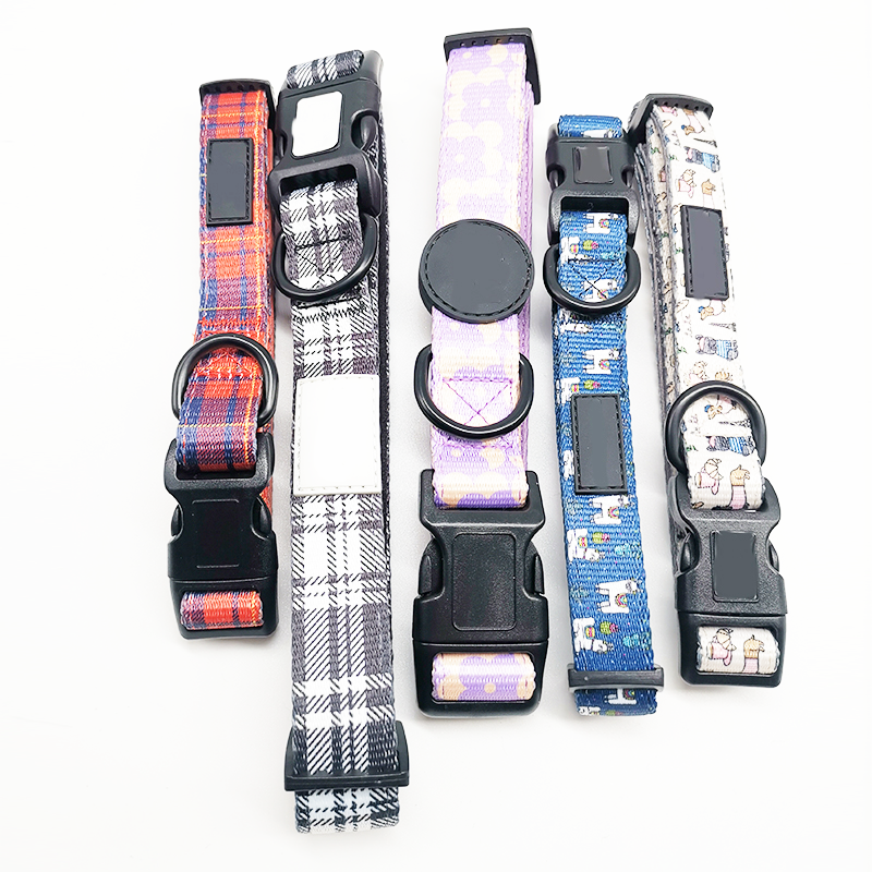 How to use a dog collar correctly?