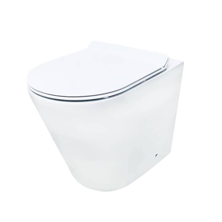 European Conceal Cistern Wall Hung Toilet