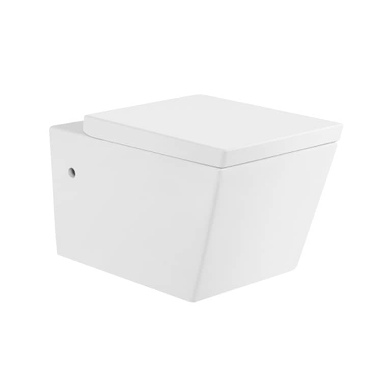 Gravity Flushing Wall Hung Toilet