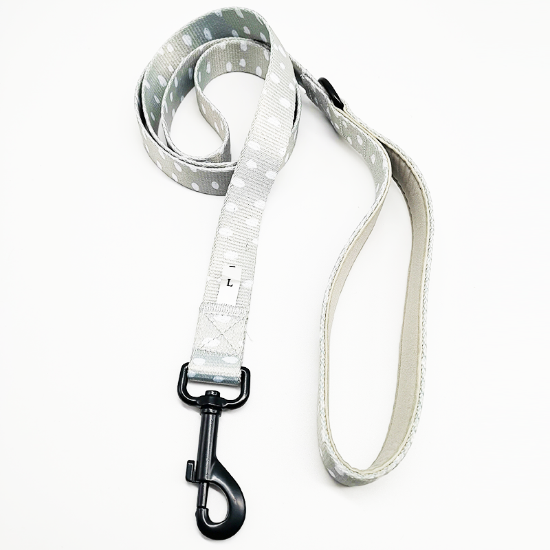 How should a dog collar be put on?