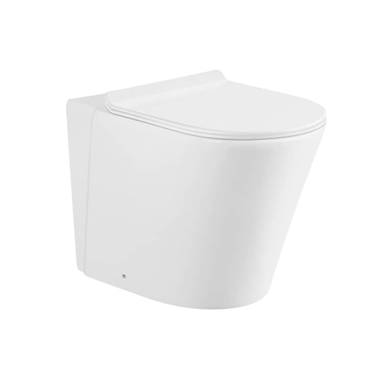 Modern Round Mounted Washdown Wall Hung Toilet