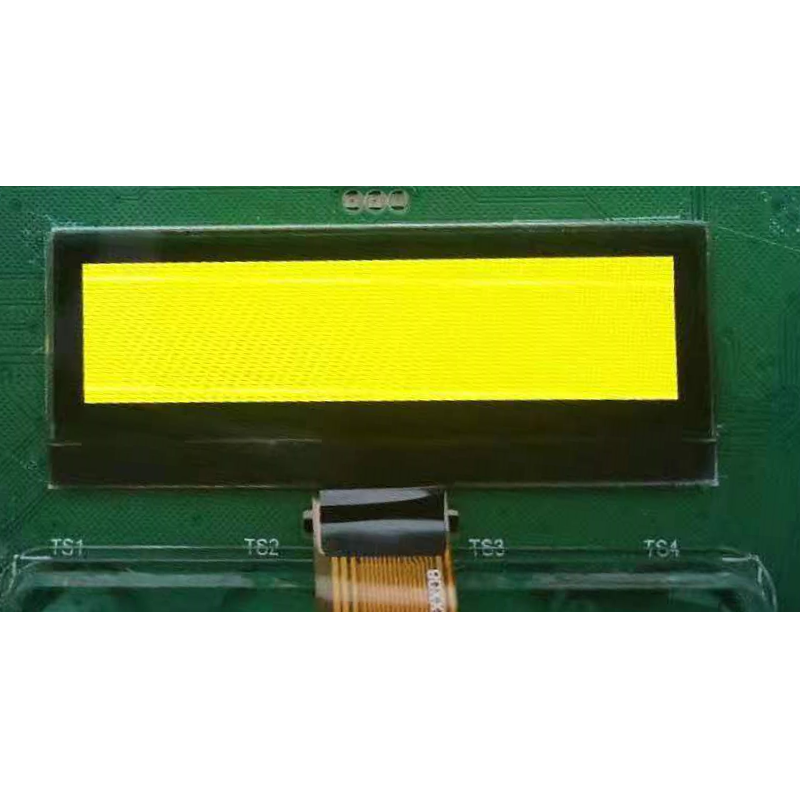 OLED Display Module