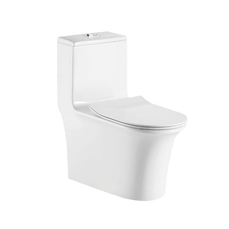 One Piece Toilets