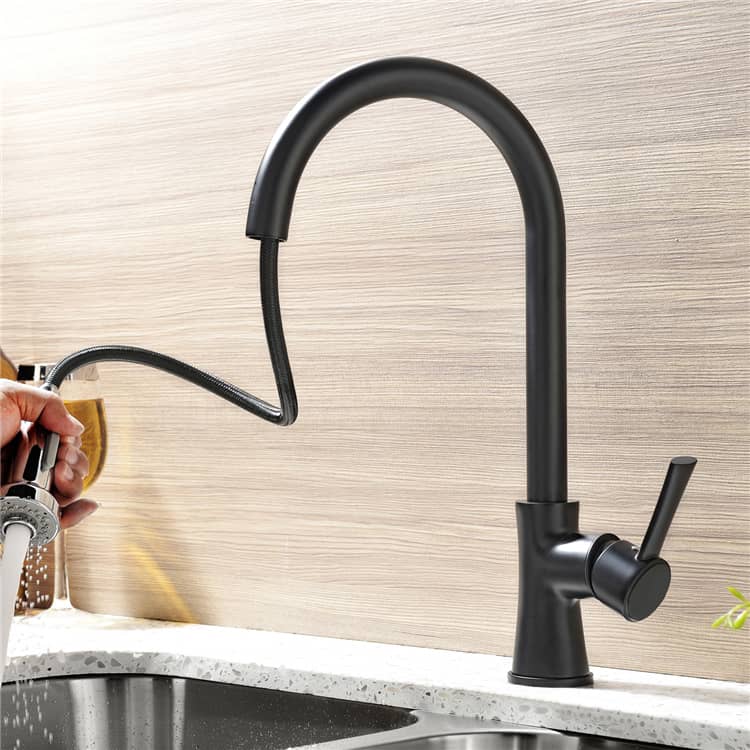 Pull Out Kitchen Faucet