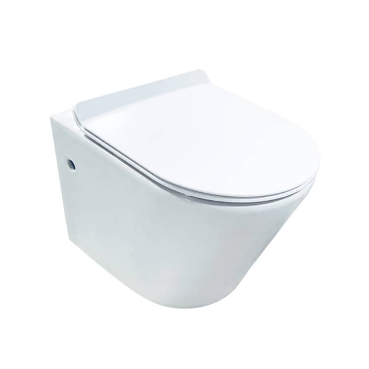 Slow And Silent Closing Wall Hung Toilet