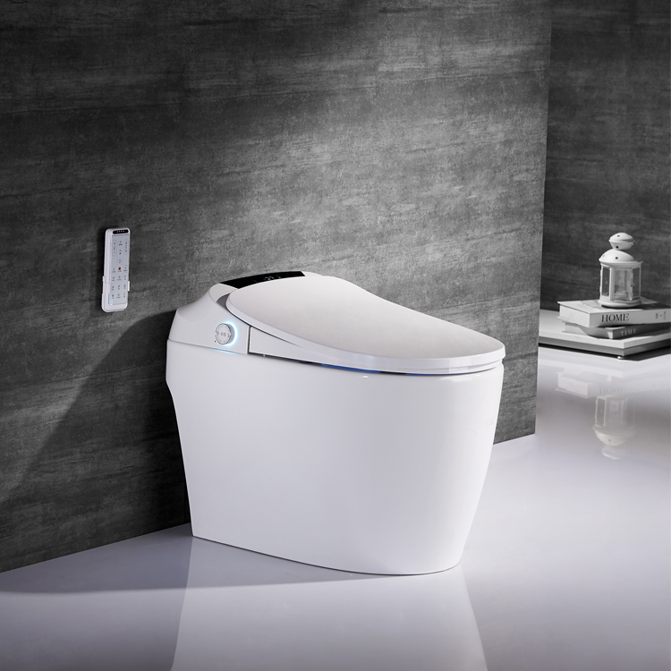 Intelligent Toilet Bidet