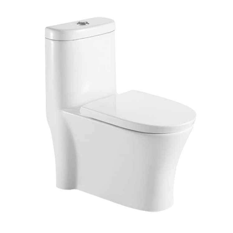 South America Standard One Piece Toilets