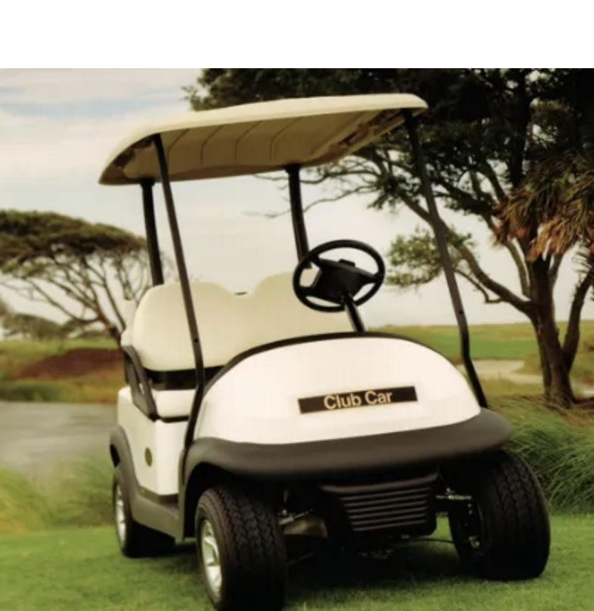 Specification of 48 100Ah lifepo4 golf cart battery