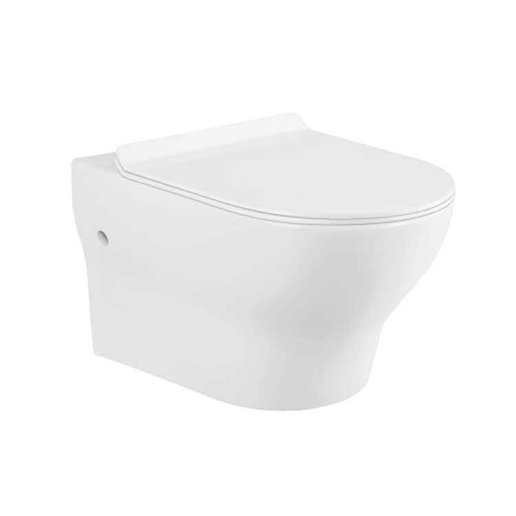 Super Swirling Wall Hung Toilet