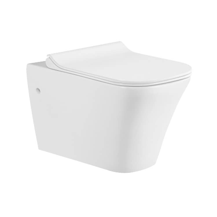 Washdown Ceramic Toilets Wall Hung