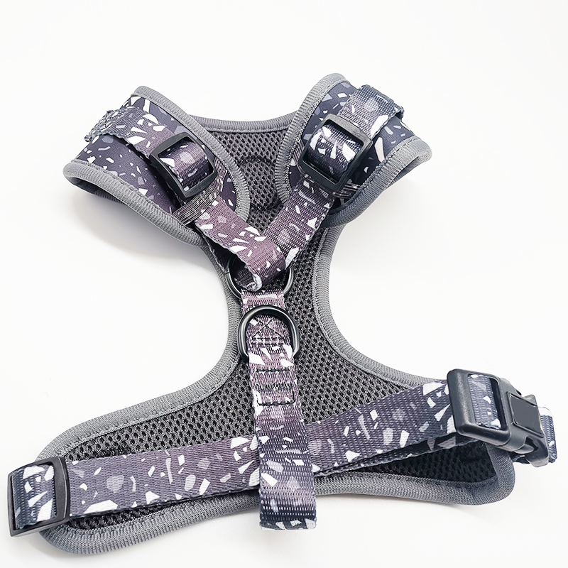 How do I put on a dog leash and chest harness? There are four main steps