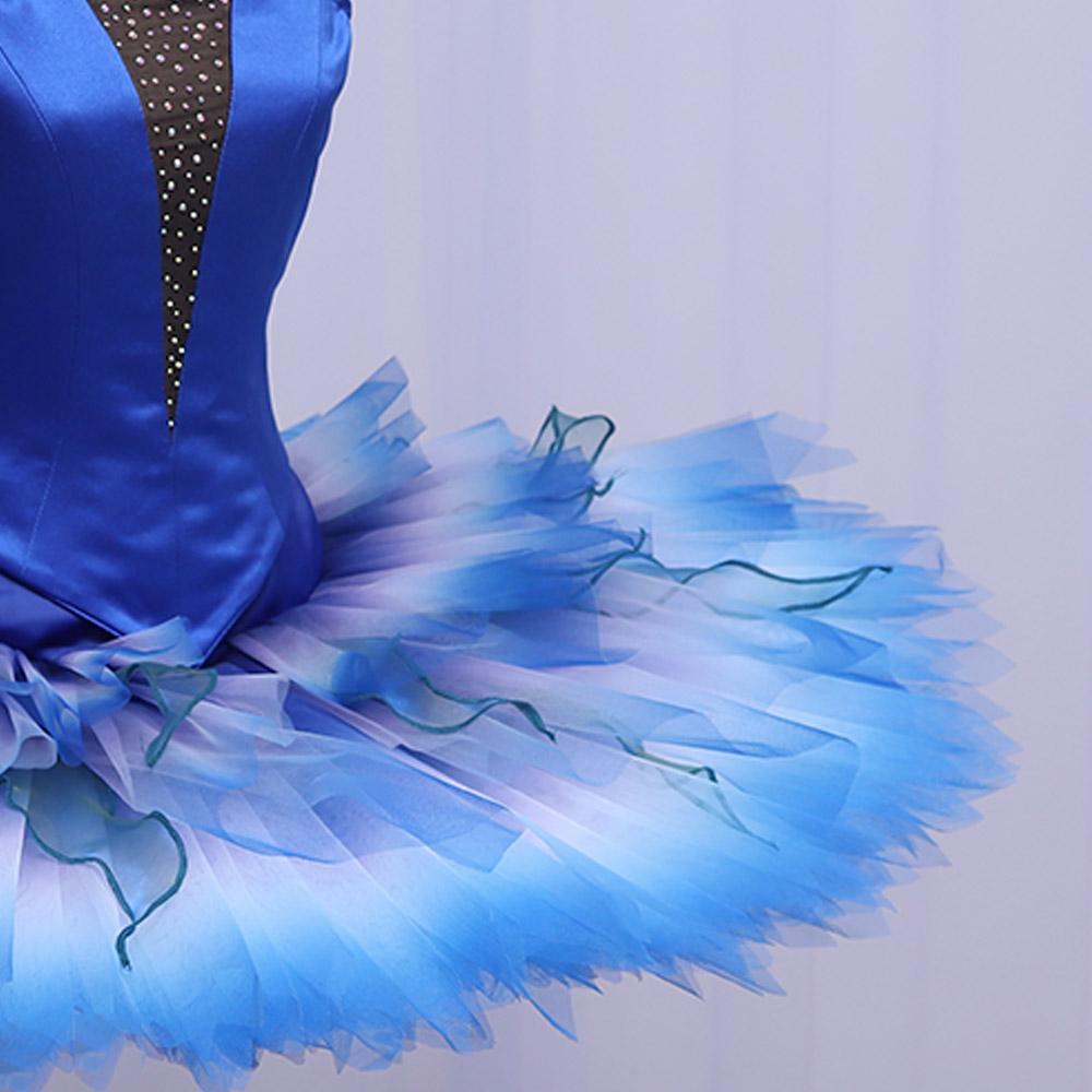 Fitdance Dark Gradient Blue Bird Ballet