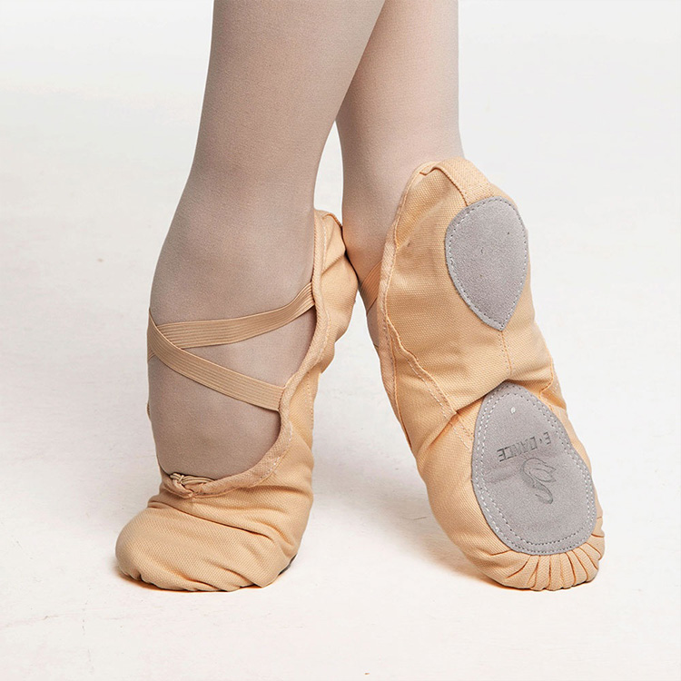 Professional Canvas Ballet Shoes-2000
