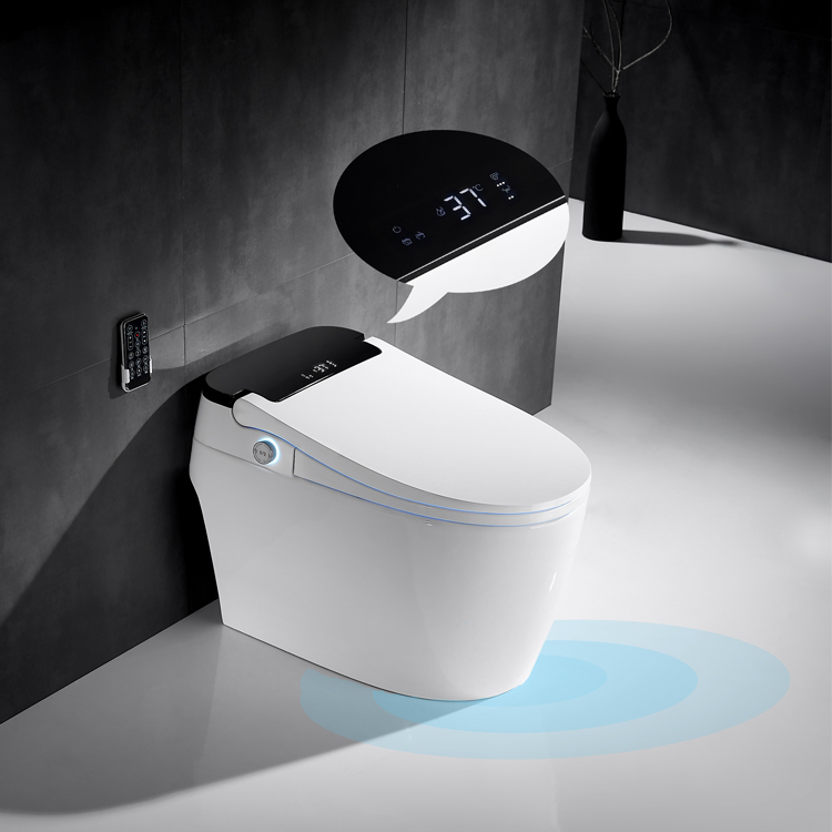 The Best Intelligent Toilet