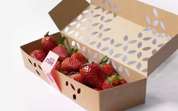 [packaging innovation week] the green action group recommends you a good and environmentally friendly breathable fruit packaging box