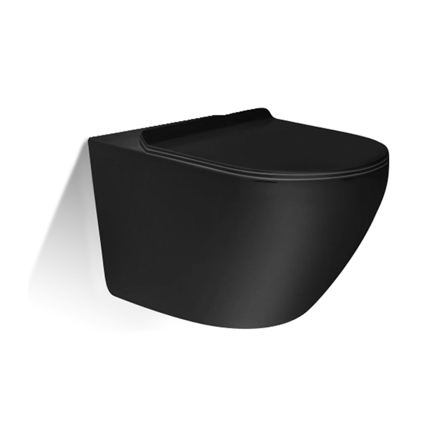 Eddy double hole wall hung toilet